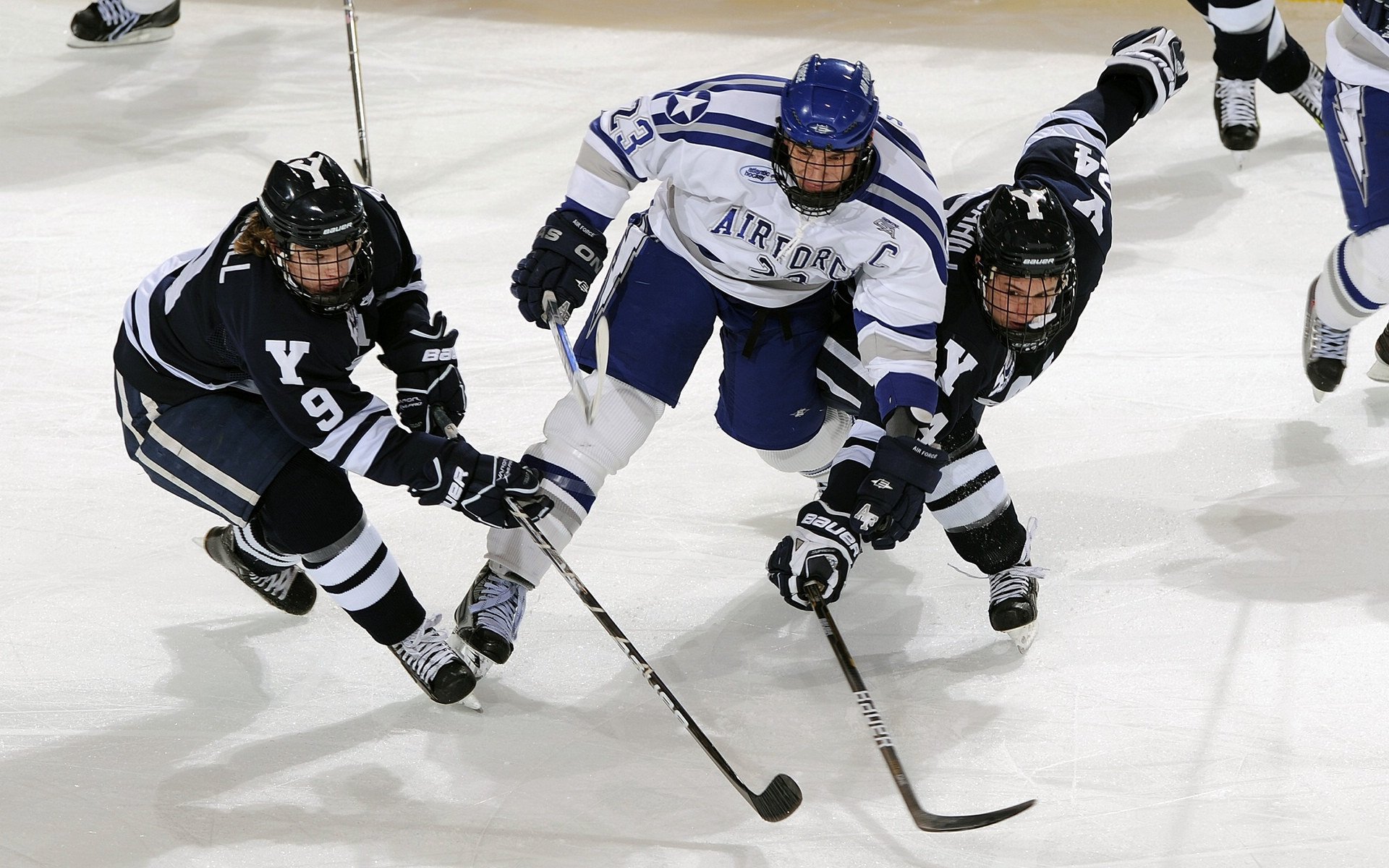 体育激情点燃每一天